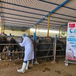 WhatsApp Image 2024-06-16 at 07.42.58