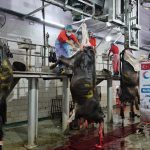 WhatsApp Image 2024-06-16 at 20.24.52 (2)